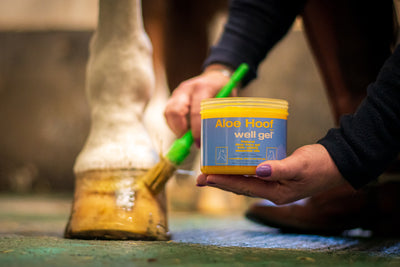 Winter Approaches 🪾❄️🧤