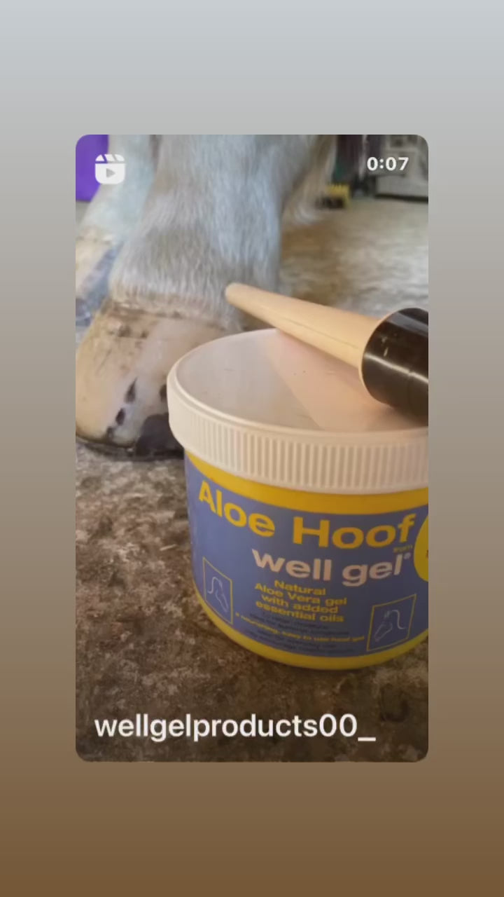 Aloe Hoof helps keep hooves healthy